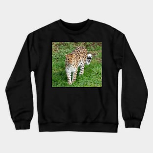 Amur leopard Crewneck Sweatshirt